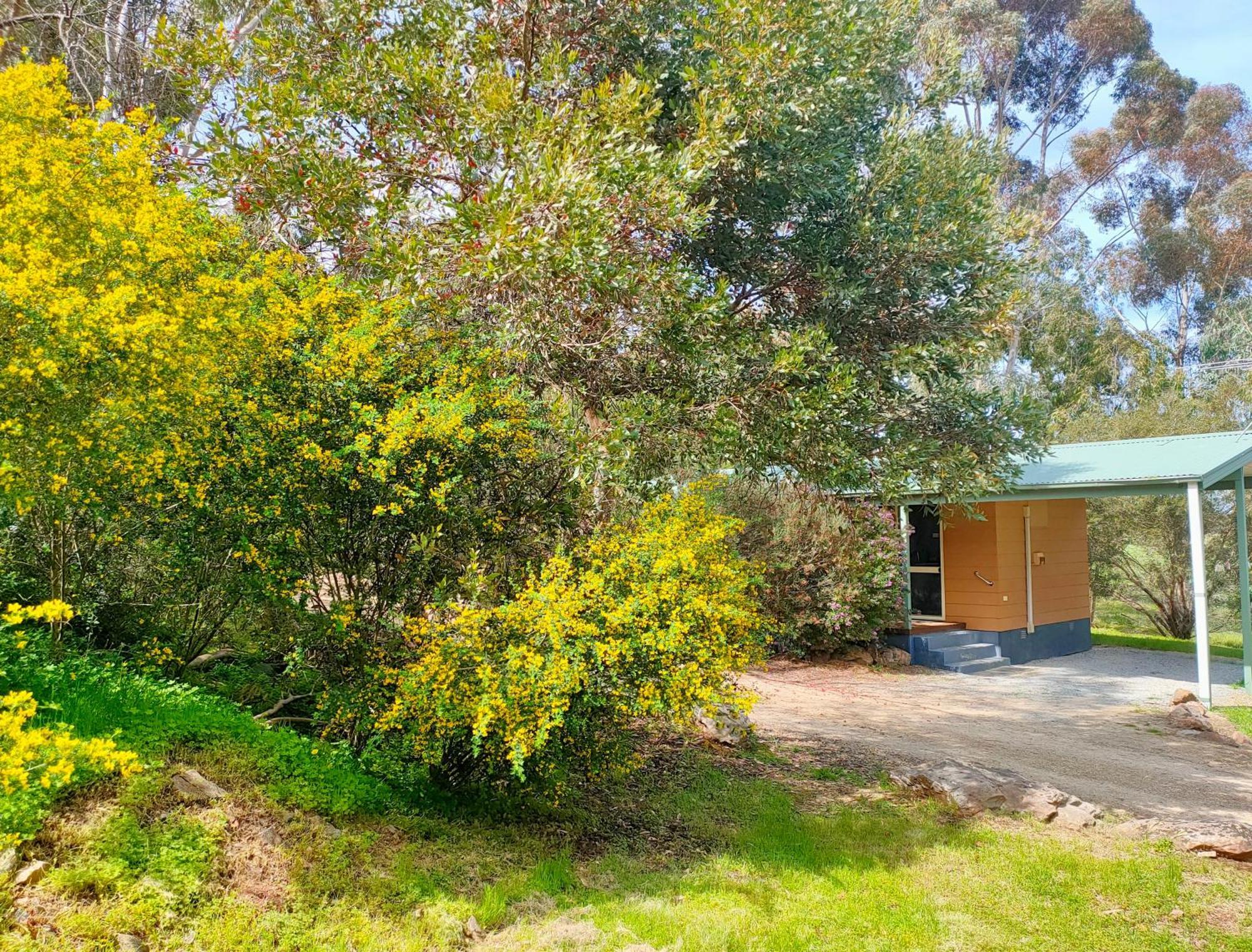 הוילה Watervale Retreat מראה חיצוני תמונה